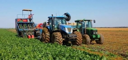 Tempo seco e quente pode reduzir colheita de beterraba sacarina da EU