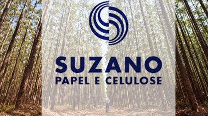 Suzano avalia alternativas para tabela de frete