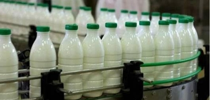 Leite tem previsão de produção menor e mais equilíbrio na balança externa