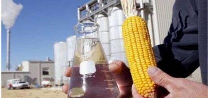 MT mostra entusiasmo na produção de etanol de milho