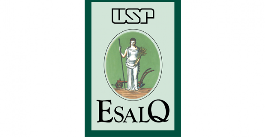 Etanol hidratado recua 2,15% e anidro cai 3,7% nas usinas