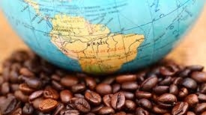 Brasil exporta em julho menor volume de café em mais de 10 anos