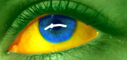 Conheça o cenário econômico que o futuro presidente da República encontrará