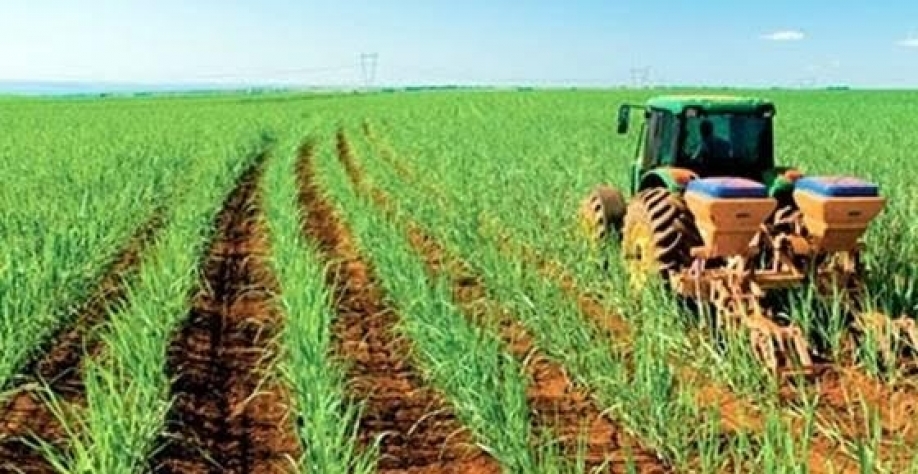 Agricultores do Brasil enfrentam alta de 20% nos custos com insumos