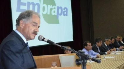 Embrapa: Sebastião Barbosa é o indicado para suceder Maurício Lopes
