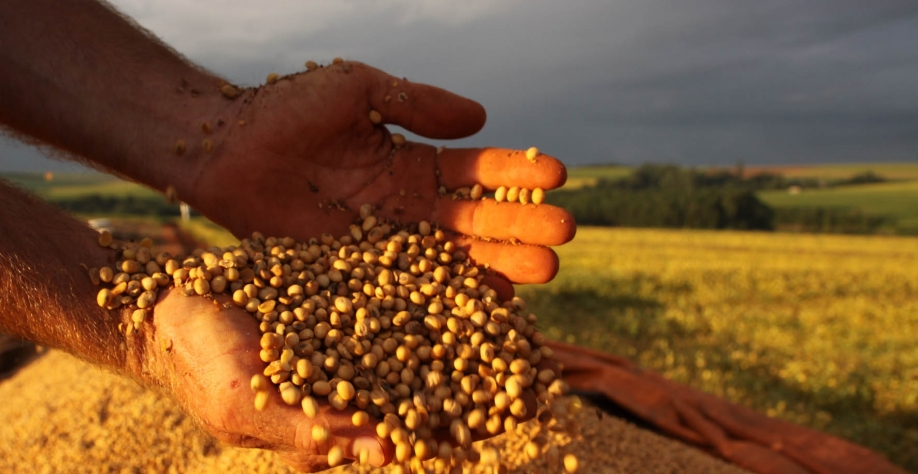 China mira Brasil e deve reduzir importação de soja dos EUA em 18/19 
