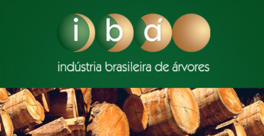 Produção de celulose no país sobe 15,7% em julho, diz Ibá 