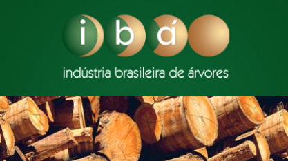 Produção de celulose no país sobe 15,7% em julho, diz Ibá 