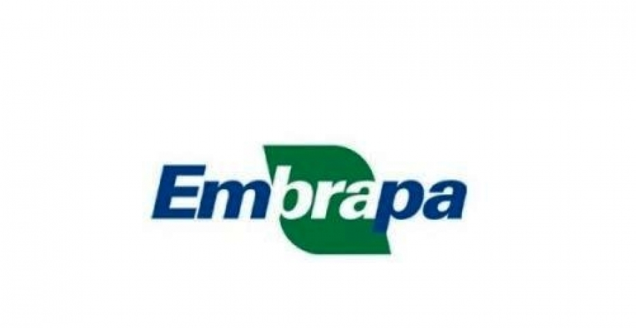 Sucessão na Embrapa opõe funcionários e ruralistas