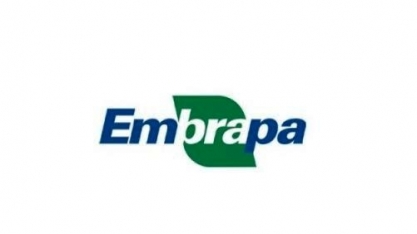 Sucessão na Embrapa opõe funcionários e ruralistas