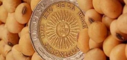 Com novo imposto, agricultor argentino troca milho por soja