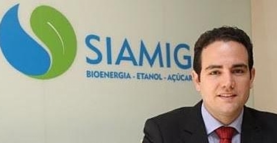 Setor Sucroenergético em MG plantou 3,2 milhões de árvores