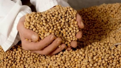 Valor da produção agropecuária do país deve somar R$ 565,6 bi em 2018