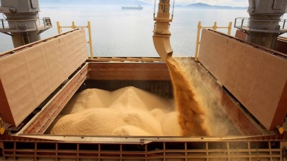 Agribrasil vê importação de 1 mi t de soja dos EUA pelo país no ano