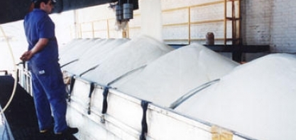 Açúcar: Brasil e Austrália vão combater subsídio da Índia à exportação  