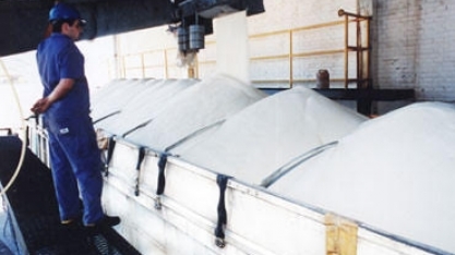 Açúcar: Brasil e Austrália vão combater subsídio da Índia à exportação  