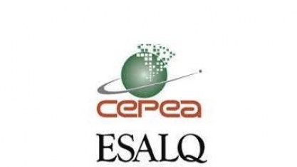 Etanol: Hidratado e anidro sobem 5,86% nas usinas