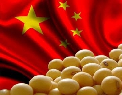 Brasil direciona 80% da exportação de soja para China de janeiro a agosto 