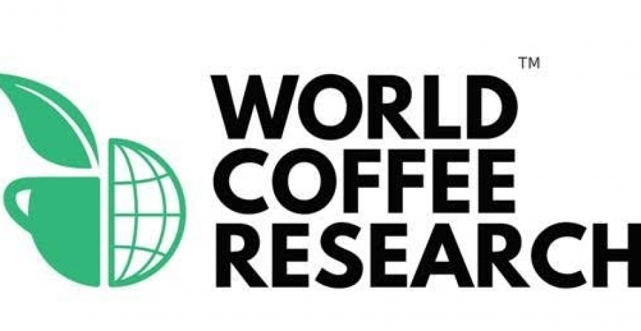 Primeira sequência do genoma do café arábica é liberada ao público