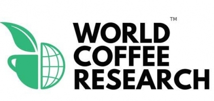 Primeira sequência do genoma do café arábica é liberada ao público