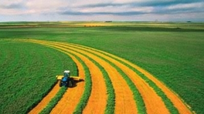 Superávit do agronegócio é de US$ 819 bi em agosto e de US$ 59 bi no ano
