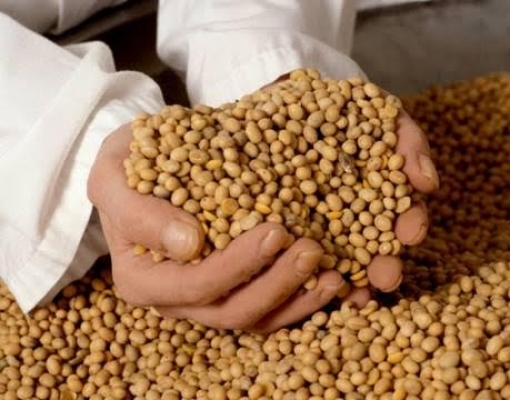 Mudança em hábitos alimentares é oportunidade para soja brasileira