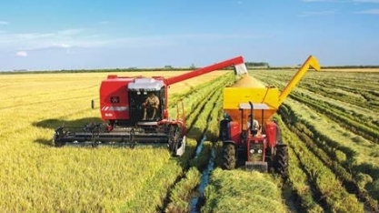 Qualidade do arroz brasileiro garante valorização no mercado externo