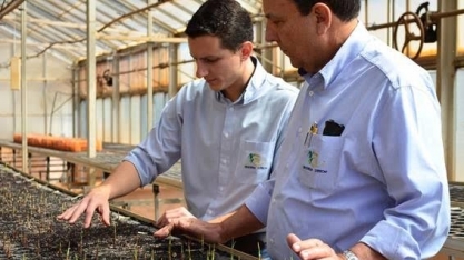 Variedades de cana criadas na UFSCar representam 64% do cultivo em SP e MS