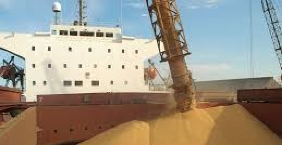 Exportação de soja do Brasil cresce 13,5% de janeiro a agosto 