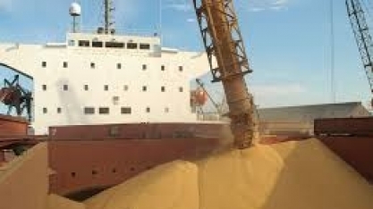 Exportação de soja do Brasil cresce 13,5% de janeiro a agosto 