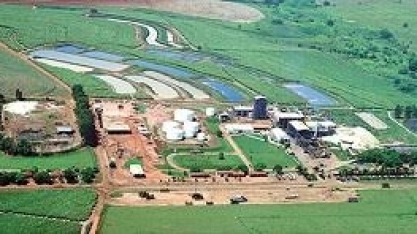 Justiça decreta falência da usina sucroalcooleira Usalpa