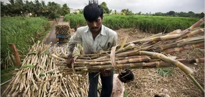 Governo indiano aprova incentivos para exportações de açúcar em 2018/19