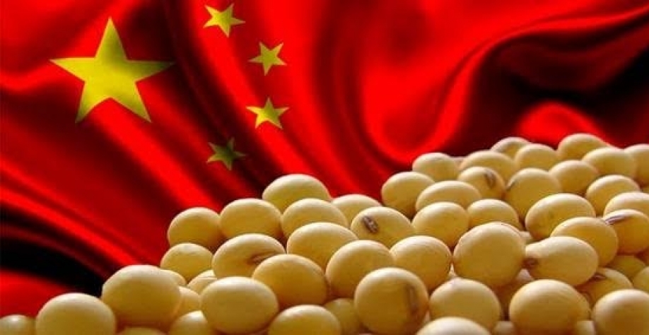 Brasil almeja contrato futuro de soja diante de guerra comercial EUA-China