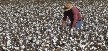 Emissão de CRA recua, mas deve reagir em 2019