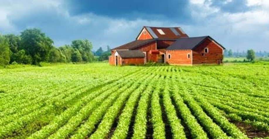 Para executivo da Cargill, China pode precisar da soja dos EUA