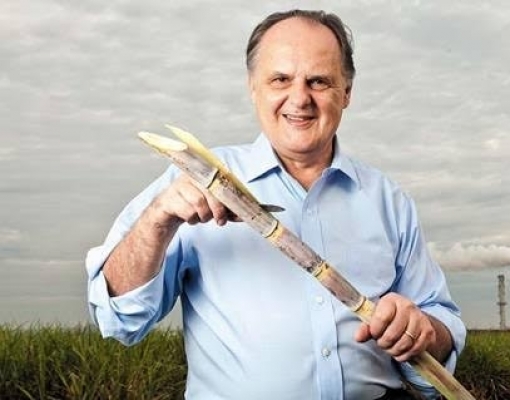 “Temos 32 pessoas para pagar impostos e 12 para vender açúcar”