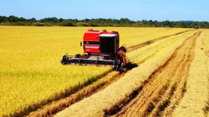 Safra de soja do Brasil deve superar 120 mi t, novo recorde