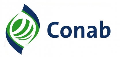 Brasil poderá colher até 238 milhões de toneladas de grãos na safra 2018/19 