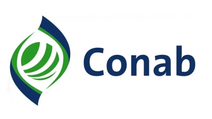 Brasil poderá colher até 238 milhões de toneladas de grãos na safra 2018/19 