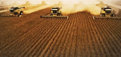 Agroconsult vê alta de 13% na receita com safras de grãos e algodão em 2018