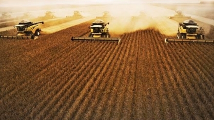 Agroconsult vê alta de 13% na receita com safras de grãos e algodão em 2018