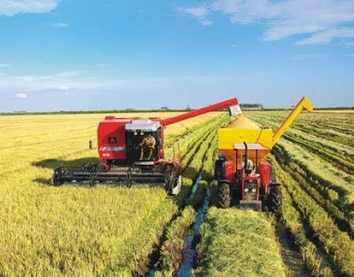 Colheita de arroz em lavoura no Rio Grande do Sul