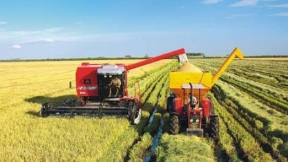 Contas não fecham nos setores de arroz e de feijão