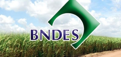  Desembolso para programa de renovação de canaviais despenca 