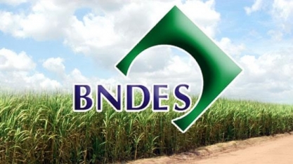  Desembolso para programa de renovação de canaviais despenca 