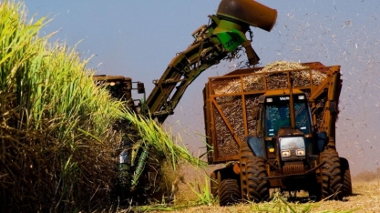 Bioenergia: País pode exportar mais e produzir de forma mais limpa 