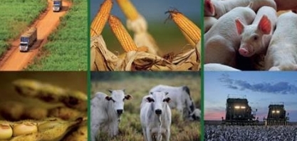 Ministério da Agricultura precisará priorizar diplomacia comercial