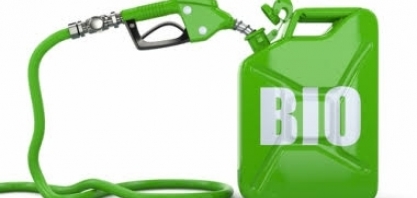 Biocombustíveis: Lobby inflamável
