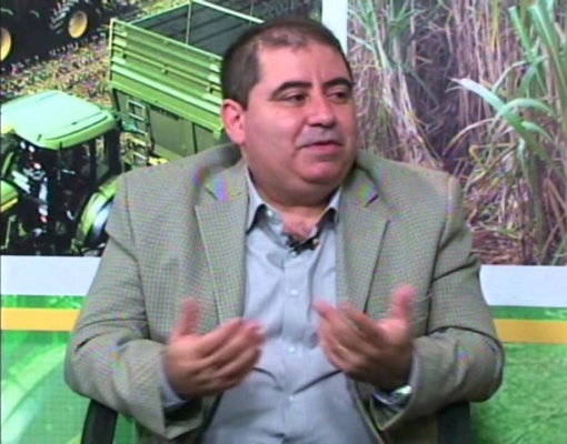 Bioeletricidade brasileira poderia abastecer quais dois Paraguais