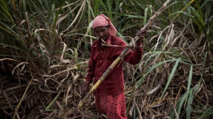 Índia vai exportar açúcar pela 1ª vez em três anos após alta nos preços